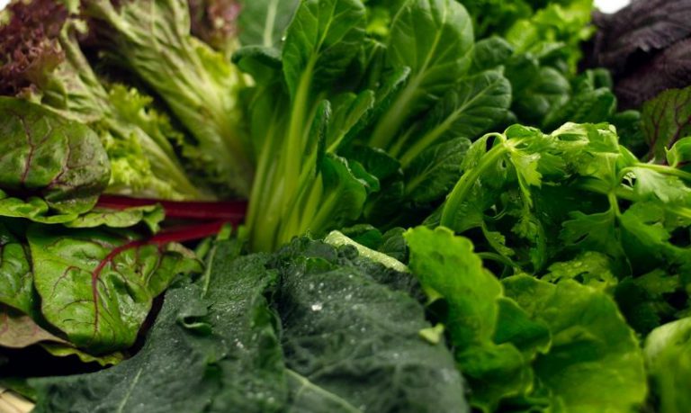 İştah Kesen Yiyecek ve İçecekler Bordova