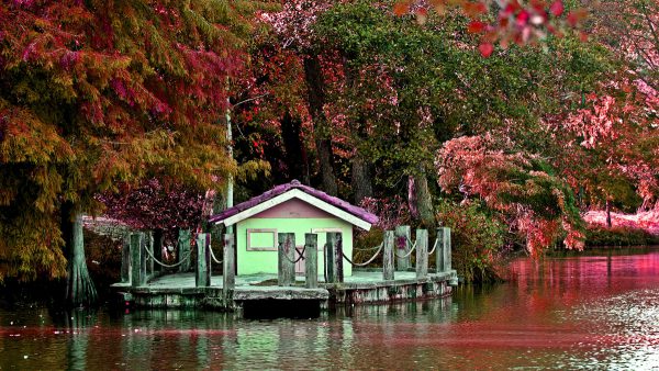 Atatürk Arboretumu