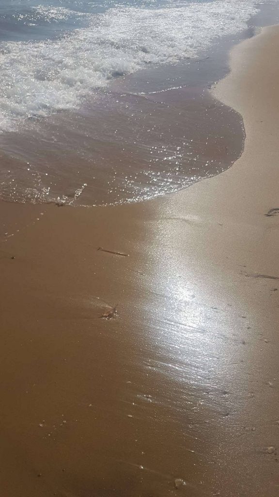 Didim Sahil kum